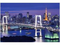 120CM 80CM OBRAZ ŚCIENNY ZATOKA TOKIJSKA