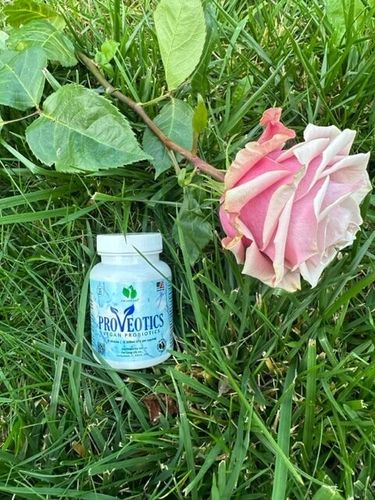 For long life PROVEOTICS probiotyki i prebiotyki BEZ MLEKA, BAZA DYNIOWA na Arena.pl