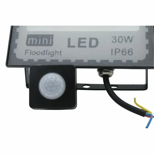 HALOGEN NAŚWIETLACZ LED LAMPA 30W CZUJNIK RUCHU na Arena.pl