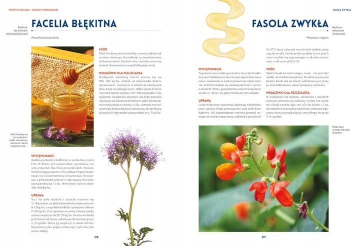 Pszczelarstwo, Jacek Nowak, Michał Piątek zdjęcie 5