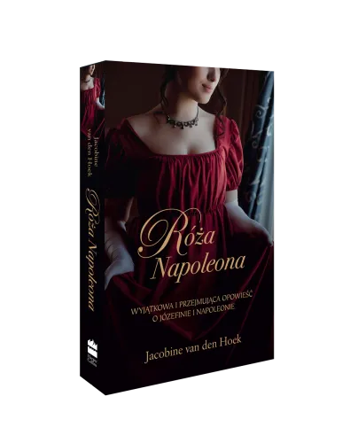 Róża Napoleona na Arena.pl