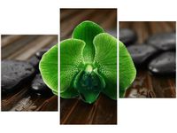 60 90CM OBRAZ 3 ELEM LIMONKOWY STORCZYK ŚCIENNY DRUK PŁÓTNO