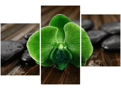 60 90CM OBRAZ 3 ELEM LIMONKOWY STORCZYK ŚCIENNY DRUK PŁÓTNO na Arena.pl