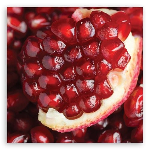 Emaga Obraz na płótnie, Granat owoce - 40x40 na Arena.pl