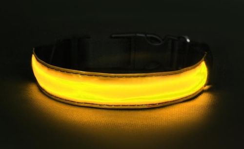 Obroża LED żółta - S na Arena.pl