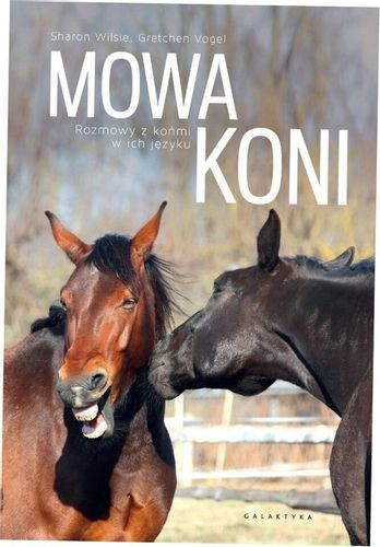 Mowa koni. Rozmowy z końmi w ich języku na Arena.pl