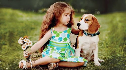 FREXIN OBROŻA NA PCHŁY I KLESZCZE DLA PSA PSÓW ŚREDNIE RASY REGULOWANA 55cm na Arena.pl