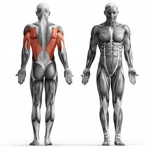 MARBO | Wyciąg do sufitu do ćwiczeń uchwyt krótki zdjęcie 6