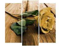 90 80CM OBRAZ T3 ELEM CIEKAWA RÓŻA DRUK ŚCIENNY