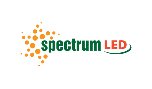 Żarówka LED PCV kulka E27 1W ŻÓŁTA WOJ+11798 SPECTRUM LED na Arena.pl