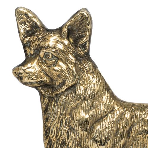 Cardigan Welsh Corgi - tabliczka - 1670 na Arena.pl