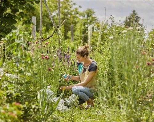 sekator ogrodowy gardena 8754-20 na Arena.pl