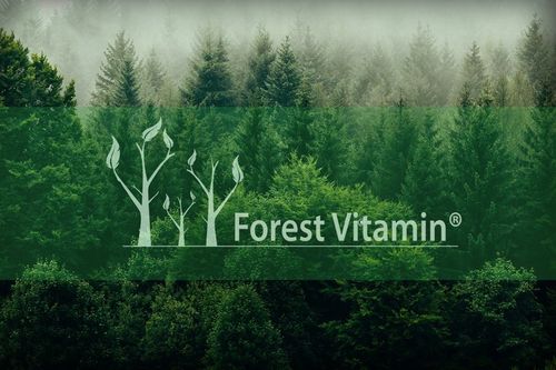 PURE CREATINE 500g KREATYNA MONOHYDRAT SIŁA MASA na Arena.pl