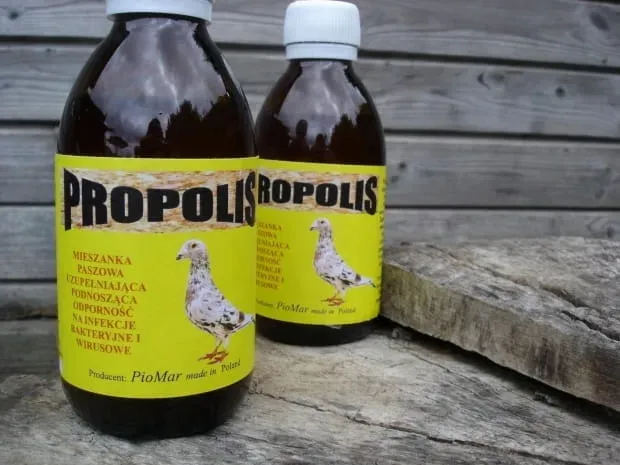 Propolis Piomar 200 ml odrporność zdjęcie 1