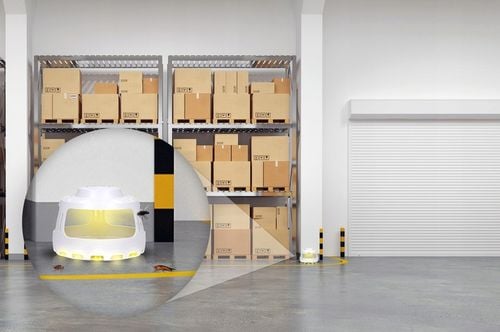 PUŁAPKA LEPOWA LEP LAMPA NA PLUSKWY PCHŁY KOMARY MUCHY CHRZĄSZCZE MOLE na Arena.pl