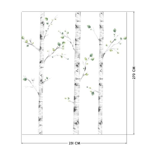 Naklejki Brzozy DK325 zdjęcie 3