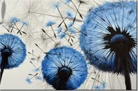 60CM 40CM OBRAZ ŚCIENNY NIEBIESKIE DMUCHAWCE DRUK PŁÓTNO RAMA