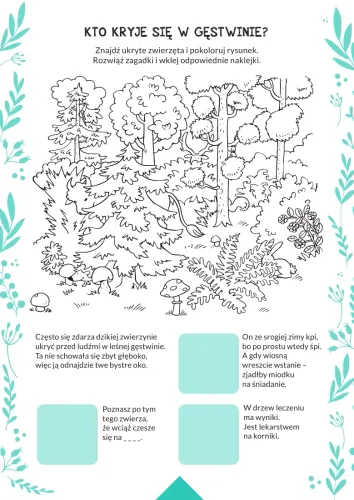 Kto Mieszka W Lesie? na Arena.pl