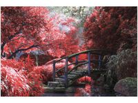 OBRAZ SECRET GARDEN MOST OGRÓD JAPONIA KOLORY