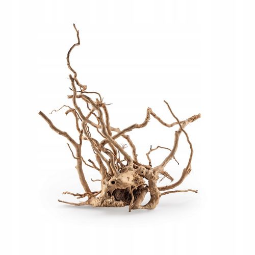 KORZEŃ DO AKWARIUM Red Moor Wood M 30cm OKAZY PREMIUM na Arena.pl