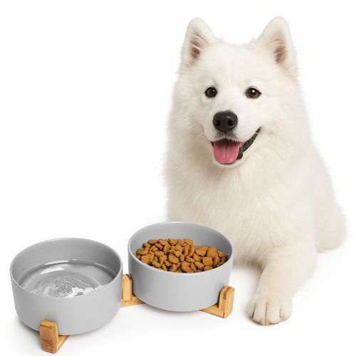 Ceramiczne Miski Dla Psa Kota Na Stojaku - Na Karmę I Wodę na Arena.pl