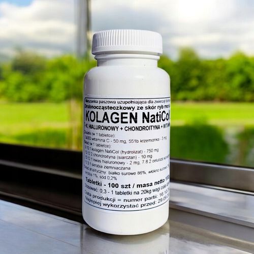 PODKOWA NatiCol Kolagen + Kwas Hialuronowy + Chondroityna + Wit.C 100 na Arena.pl