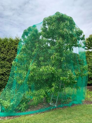 Siatka ochronna na oczko wodne basen liście 15x15m +KOTWY przeciw liściom na Arena.pl