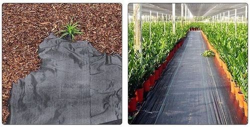 Agrowłóknina czarna 110x5000 cm mata antychwastowa na Arena.pl