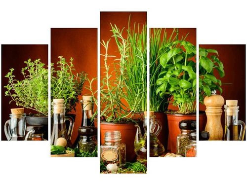 100CM 150CM OBRAZ 5 ELEM PRZYPRAWY ZIOŁOWE ŚCIENNY na Arena.pl