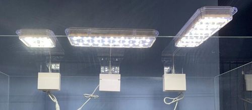 JENECA D-5 Oświetlenie LED 7,5W Do Akwarium typu Cube Krewetkarium BIAŁA na Arena.pl