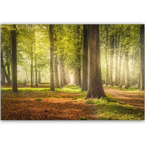 Deco Panel, Zielony las 60x40 na Arena.pl