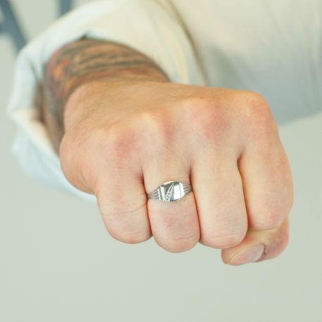 SREBRNY SYGNET Z CYRKONIAMI PRÓBA SREBRA 925 GRAWER GRATIS na Arena.pl