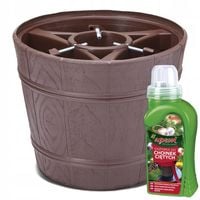 Stojak choinkowy do 2,8m z odżywką do choinek ciętych Agrecol