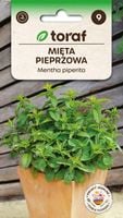 Mięta pieprzowa nasiona 0,1 g.