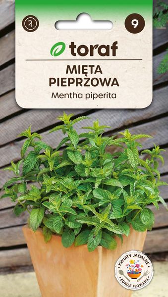 Mięta pieprzowa nasiona 0,1 g. zdjęcie 1