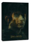 Władca Pierścieni - Drużyna pierścienia - obraz na płótnie 30x40 cm