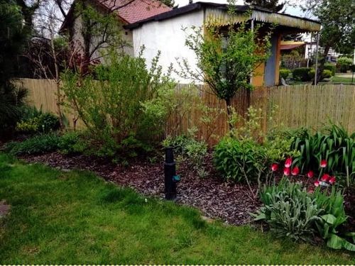 Mata bambusowa osłonowa na płot, ogrodzenie 1,5 x 3 m ( z listewek ) na Arena.pl