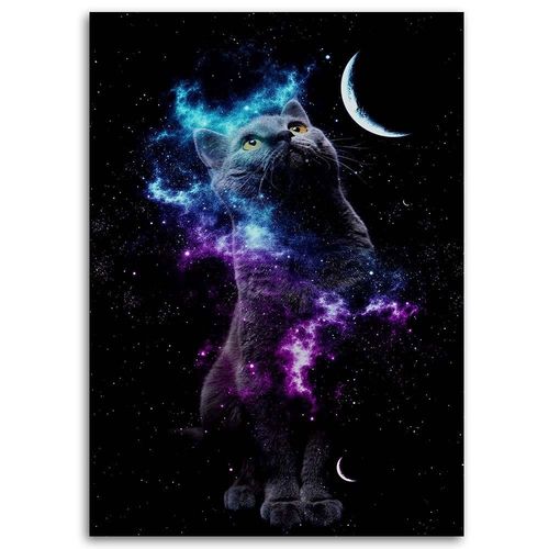 Deco Panel, Kosmos kot księżyc 50x70 na Arena.pl