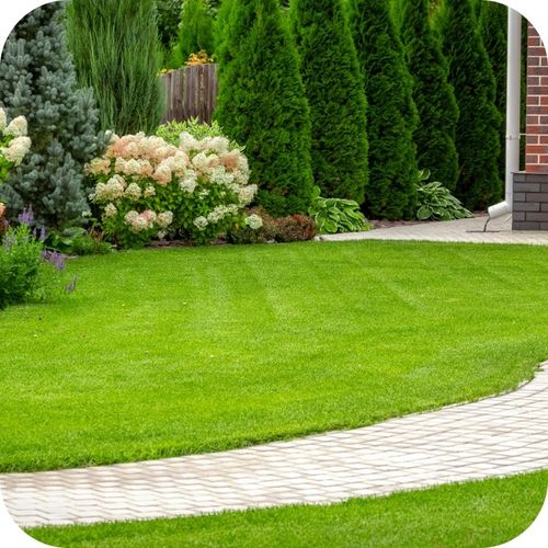 CHWASTOX NOWY TRIO 390 SL 200ml ŚRODEK CHWASTOBÓJCZY NA CHWASTY W na Arena.pl