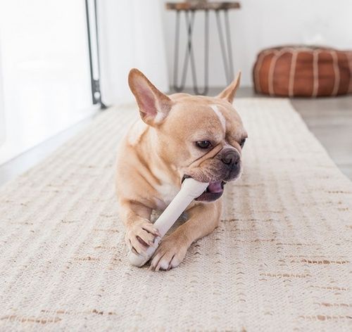 Petstages NewHide Kość large PS30123 na Arena.pl