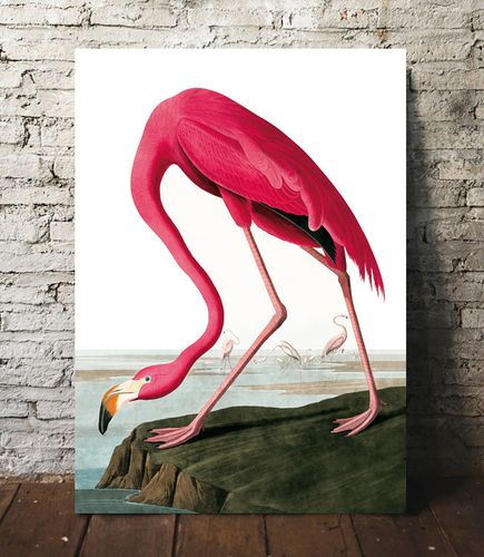 Plakat różowy flaming vintage 29,7x42 cm A3 na Arena.pl