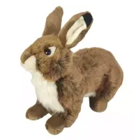 product-compare-61979737