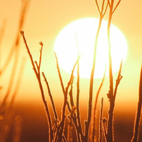 Obraz na płótnie – Canvas, zachód słońca 90x60 na Arena.pl