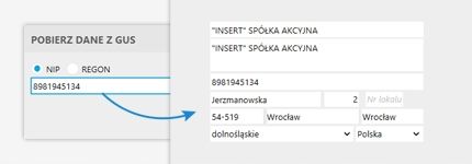 Abonament Subiekt Nexo PRO specjalna 7 st na Arena.pl
