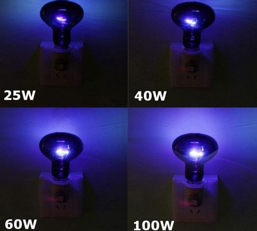 Super Reptile Black Moonlight 50W na Arena.pl