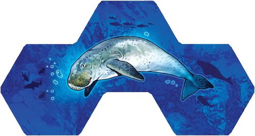 Gra Aqua (Edycja Polska) na Arena.pl