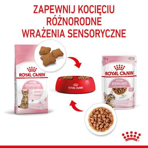 Royal Canin Kitten Sterilised Karma Mokra W Sosie Dla Kociąt Od 6 Do 12 Mie na Arena.pl