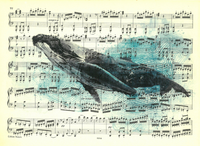 Fala dźwięku 30,5x22,5