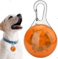ŚWIECĄCA LAMPKA LED ORANGE OBROŻĘ SZELKI DLA PSA KOTA ZAWIESZKA DO OBROŻY