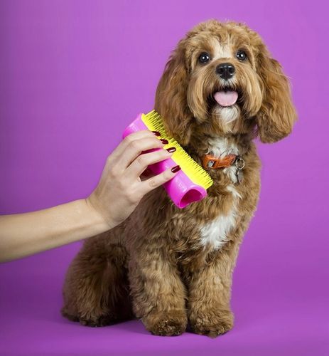 PET TEEZER DLA ZWIERZĄT De-Shedding Large na Arena.pl